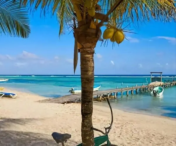Prince, Loft & Rooftop, Private Pool & Jaccuzi Riviera Maya Pousada